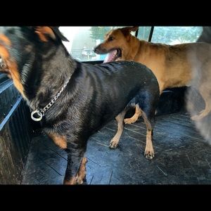 Meet your Posher, Anthony